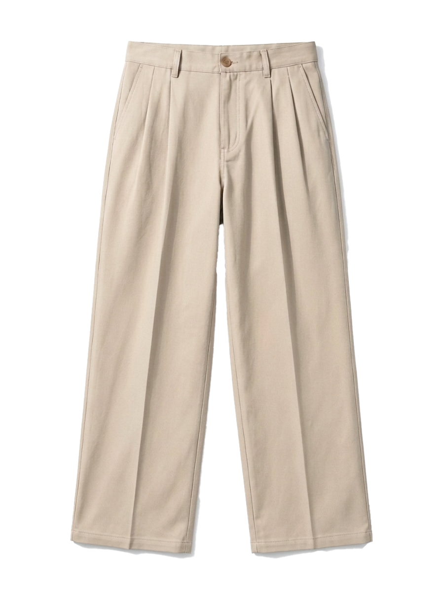 Wide Leg Pleated Pants in Beige